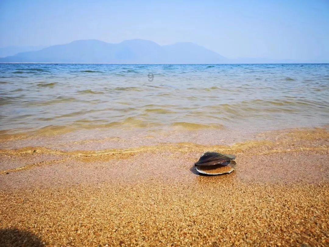 抢抓“黄金期” 航道疏浚忙